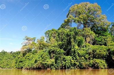 《斗仙界》0.1折手游新體驗(yàn) 爽快世界，代理開發(fā)新機(jī)遇